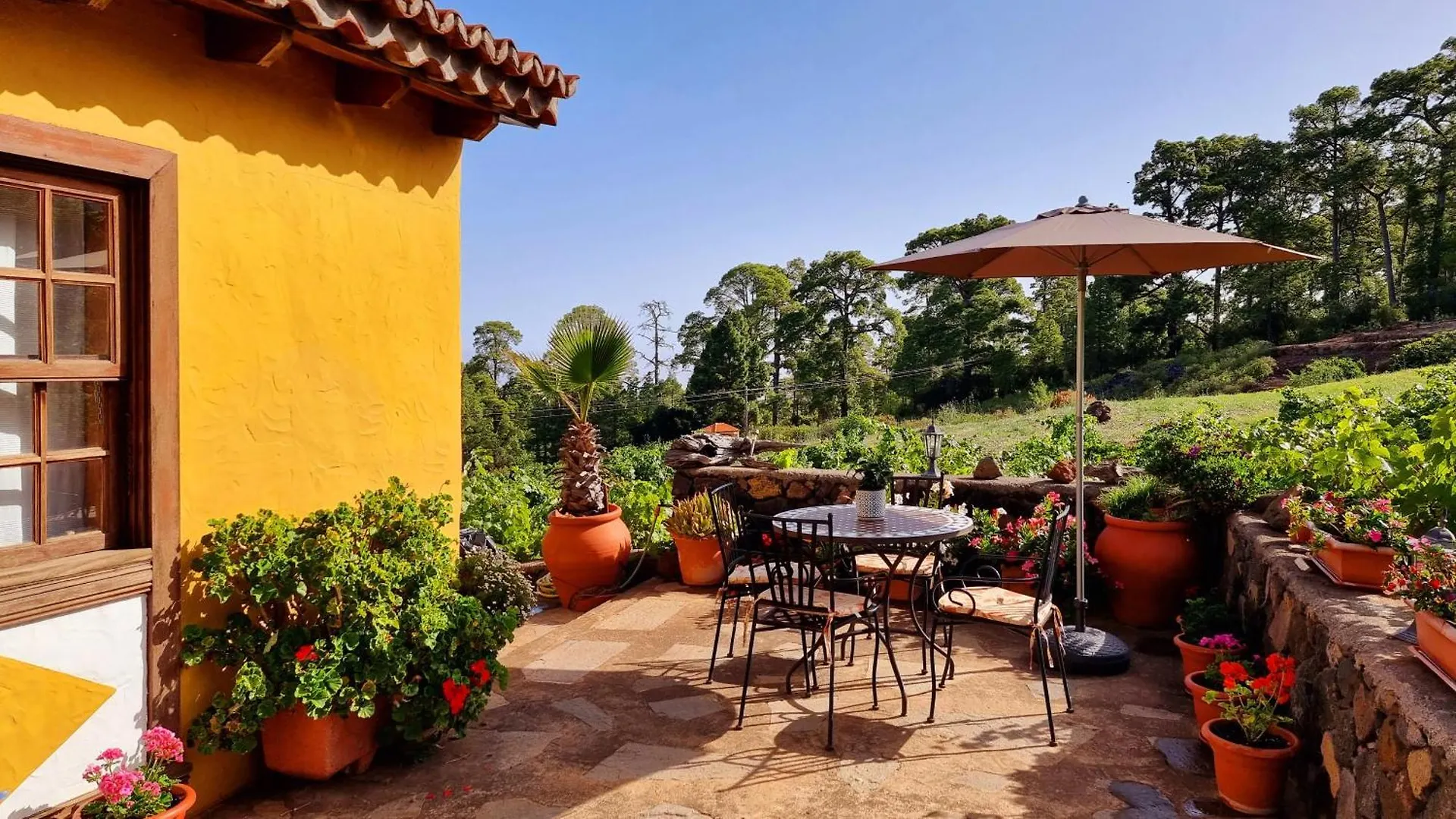 Villa Federico Puntagorda